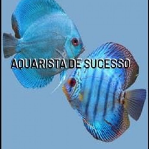 Aquarista de Sucesso - Marcos Alvarenga