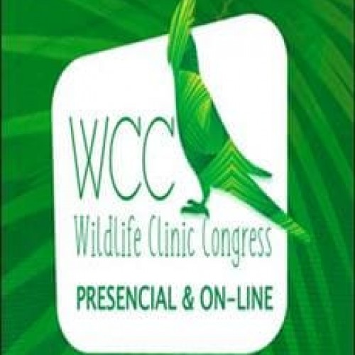 WCC Acesso Premium - Diversos Autores