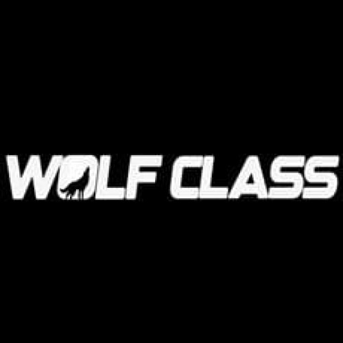Curso Wolf Class - Rodrigo Bispo
