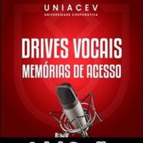 Drives Vocais Memórias de Acesso - Ariel Coelho