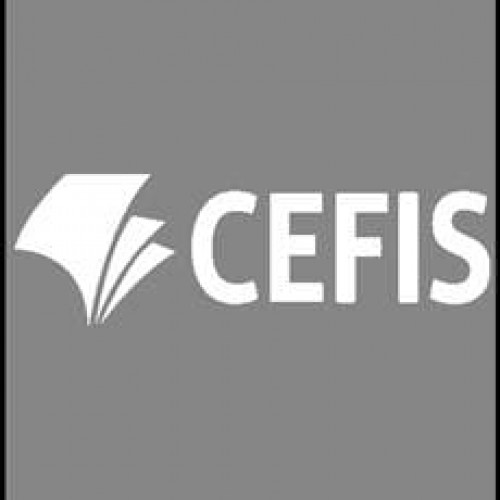 CEFIS: Contabilidade, Fiscal, Financeira, Tributário e Gestão